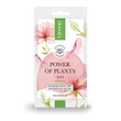 POWER OF PLANTS REJUVENATING FACE SHEET MASK ROSE - Amar Pharma