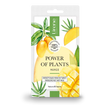 POWER OF PLANTS ENERGIZING FACE SHEET MASK MANGO - Amar Pharma