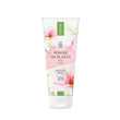 Power of Plants MOISTURIZING BODY BALM ROSE