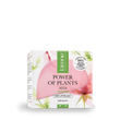 Power of Plants ROSE Lifting face cream - Amar Pharma