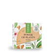 Power of Plants ALMOND Nourishing face cream - Amar Pharma